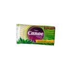 Canoe Laundry Bar Soap