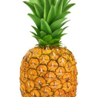 Ripe Pineapple Fruit